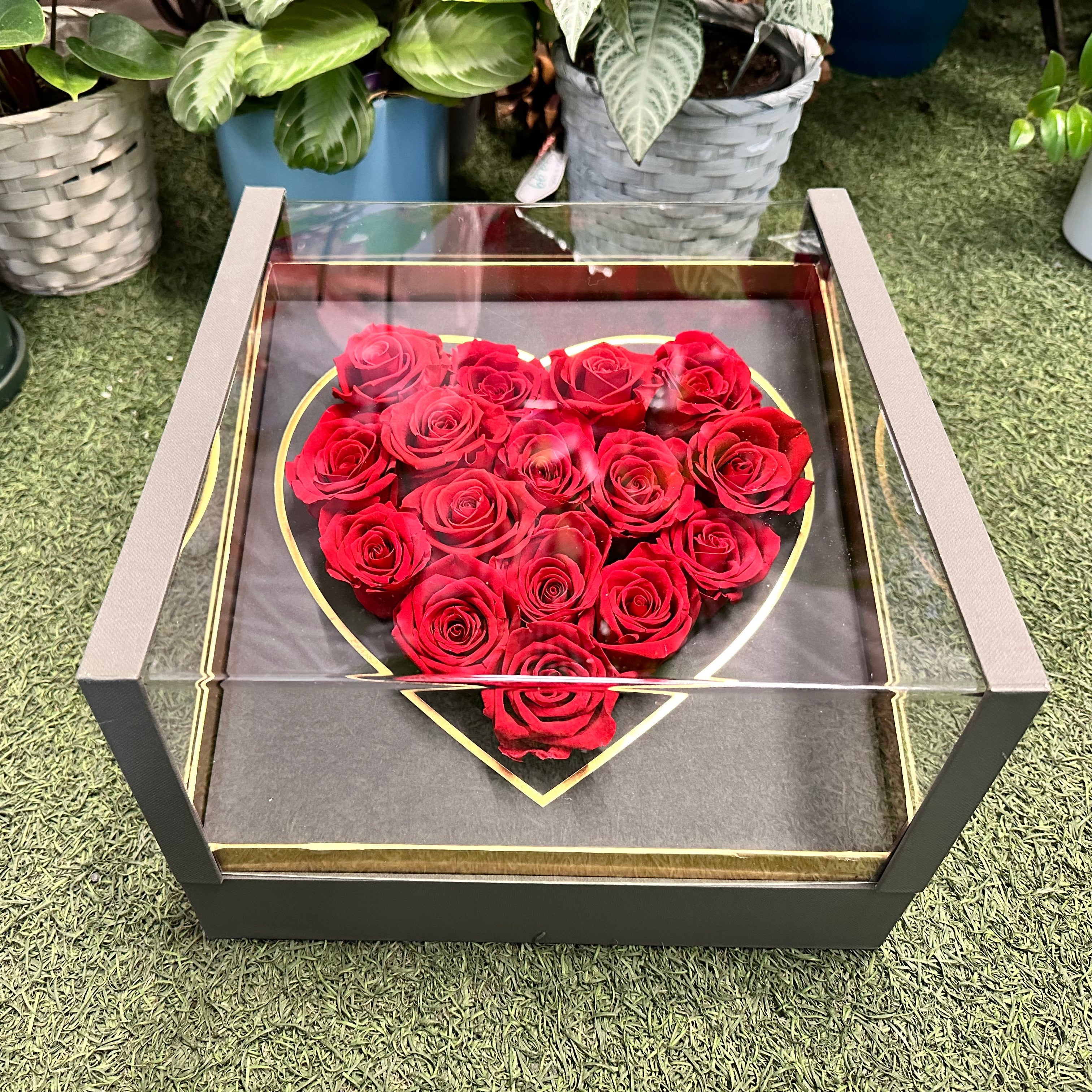 Forever Bloom Preserved Roses Box - Montreal l Lillipot