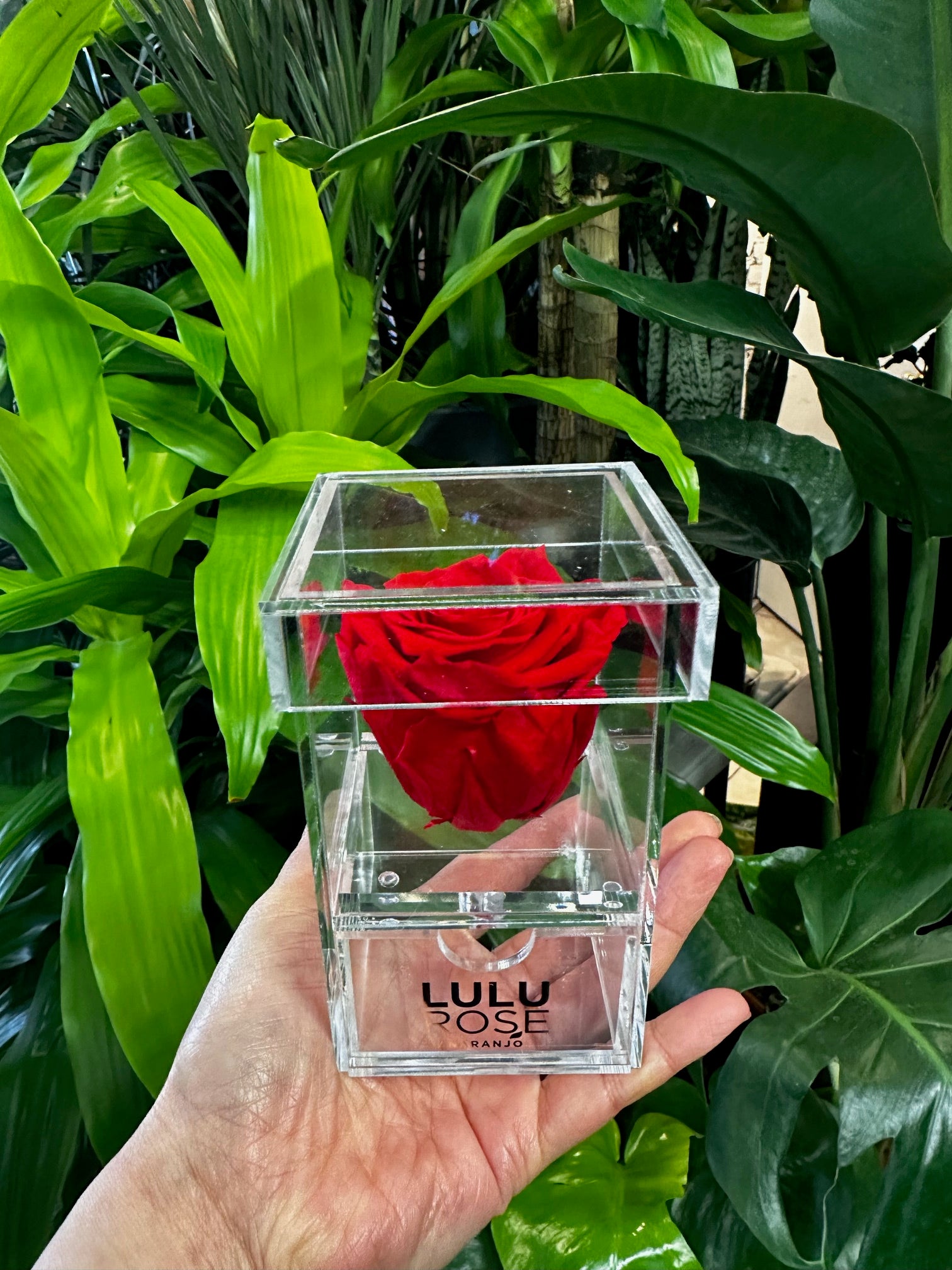 Lulu Rose Box